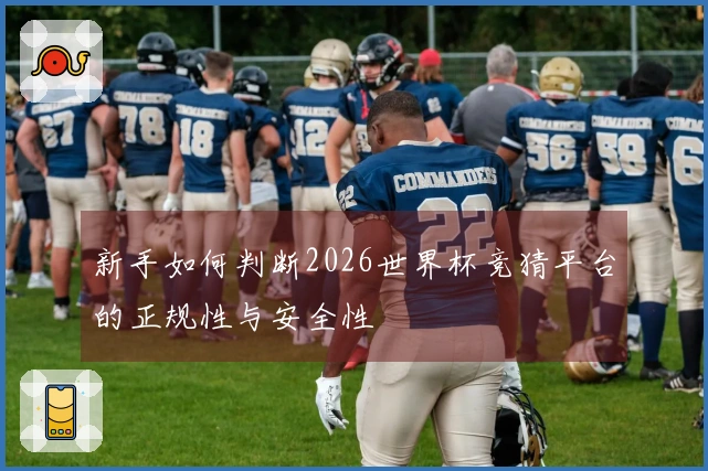 新手如何判断2026世界杯竞猜平台的正规性与安全性